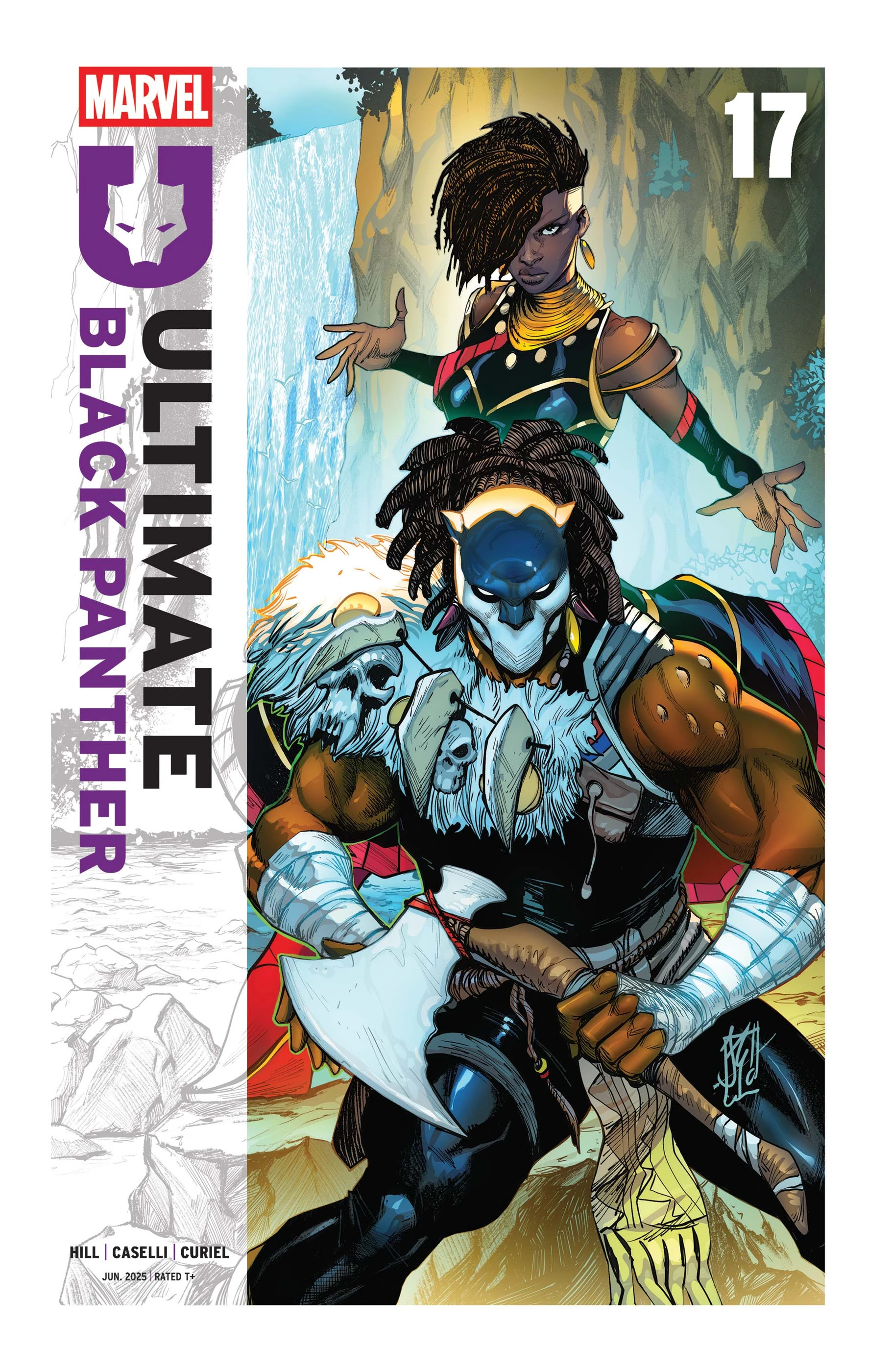 Black Panther #17